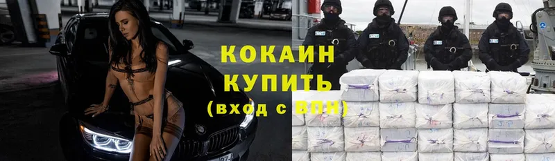 Cocaine Fish Scale  Малая Вишера 